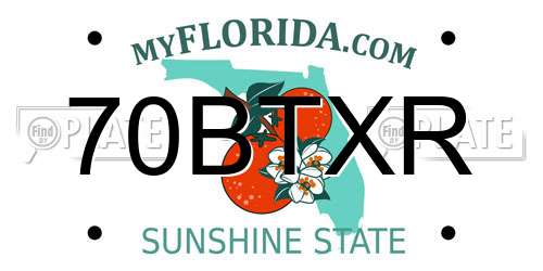 70BTXR Florida License Plate
