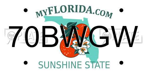 70BWGW Florida License Plate
