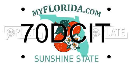 70DCIT Florida License Plate