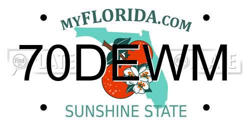 70DEWM Florida License Plate