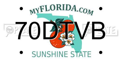 70DTVB Florida License Plate