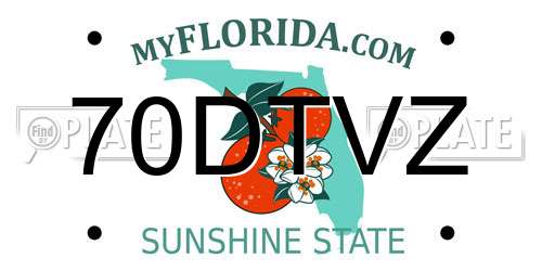 70DTVZ Florida License Plate