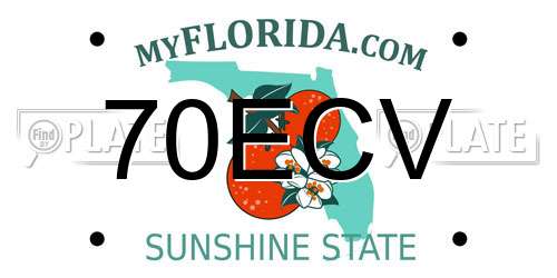 70ECV Florida License Plate