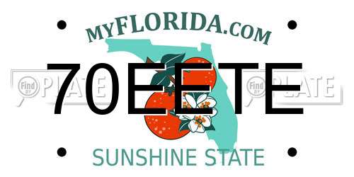 70EETE Florida License Plate