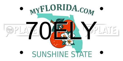70ELY Florida License Plate