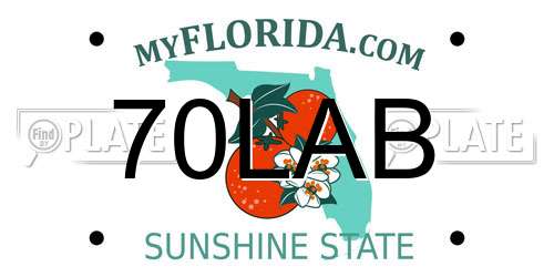 70LAB Florida License Plate