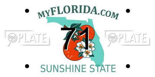 71 Florida License Plate