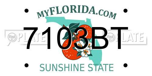 7103BT Florida License Plate