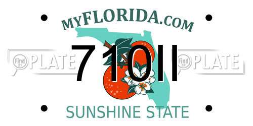 710II Florida License Plate