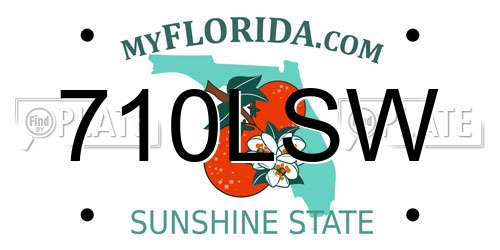 710LSW Florida License Plate