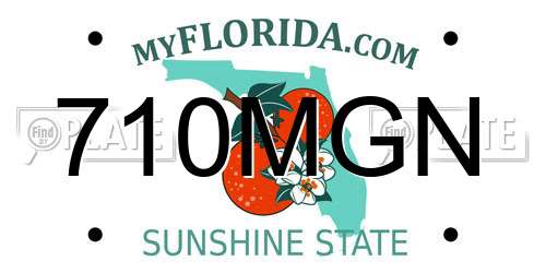 710MGN Florida License Plate
