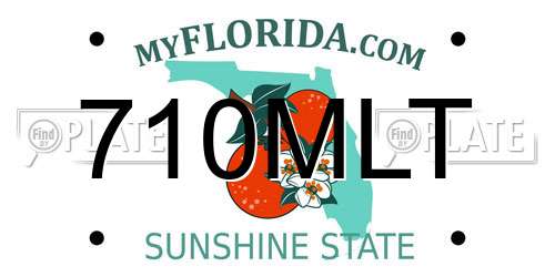 710MLT Florida License Plate