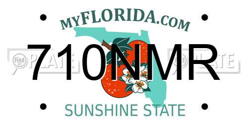 710NMR Florida License Plate