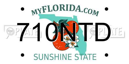 710NTD Florida License Plate