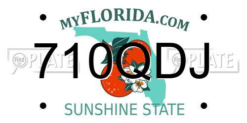 710QDJ Florida License Plate