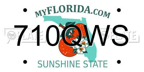 710QWS Florida License Plate