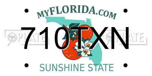 710TXN Florida License Plate