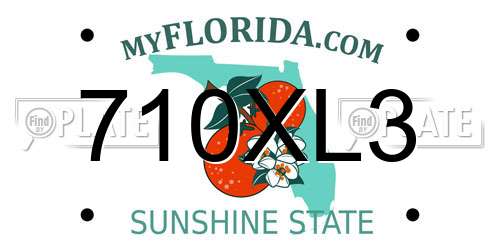 710XL3 Florida License Plate