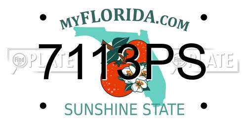 7113PS Florida License Plate