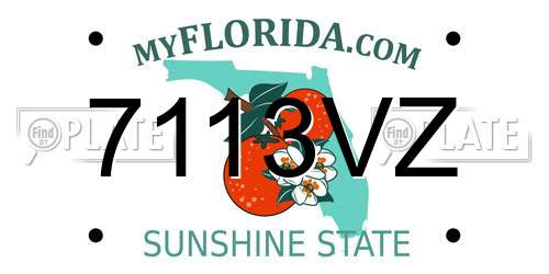 7113VZ Florida License Plate