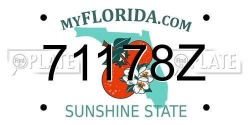 71178Z Florida License Plate