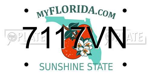 7117VN Florida License Plate