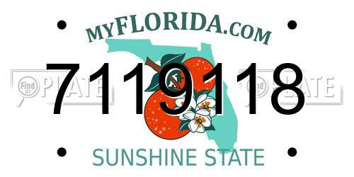 7119118 Florida License Plate
