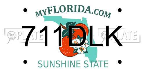711DLK Florida License Plate