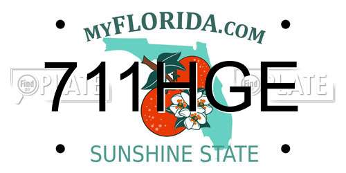 711HGE Florida License Plate