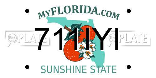 711IYI Florida License Plate