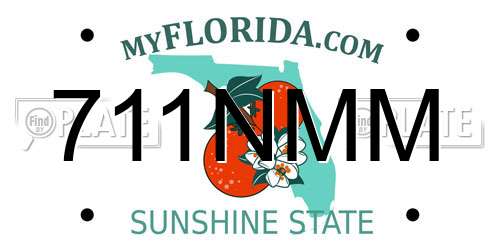 711NMM Florida License Plate