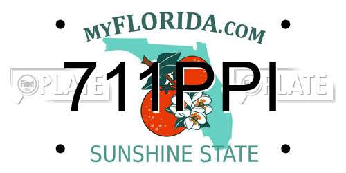 711PPI Florida License Plate
