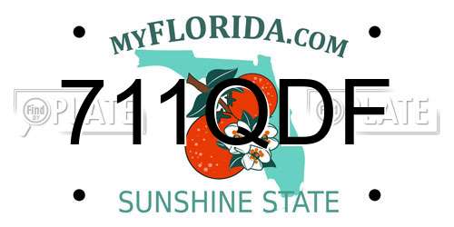 711QDF Florida License Plate