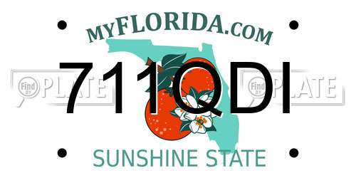 711QDI Florida License Plate
