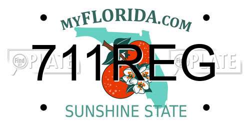 711REG Florida License Plate