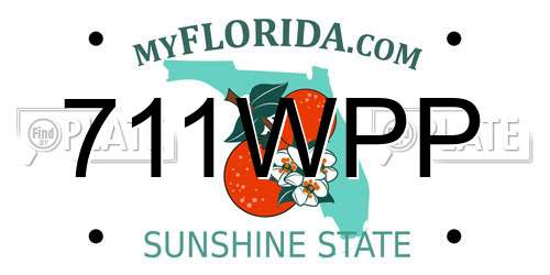 711WPP Florida License Plate