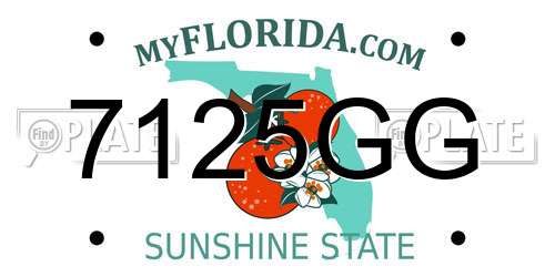 7125GG Florida License Plate