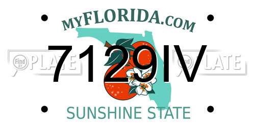 7129IV Florida License Plate