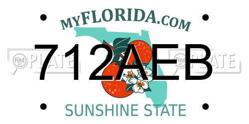 712AEB Florida License Plate