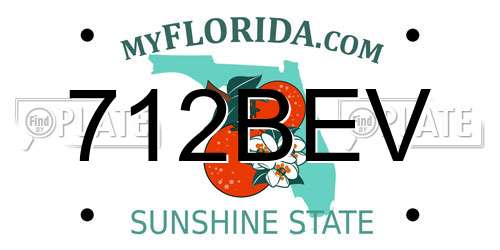 712BEV Florida License Plate