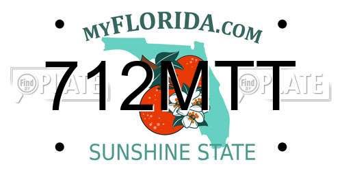 712MTT Florida License Plate