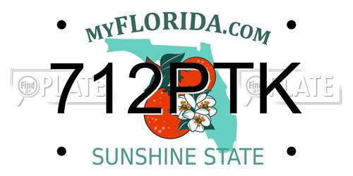 712PTK Florida License Plate
