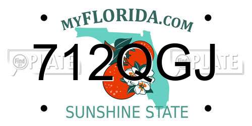 712QGJ Florida License Plate