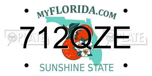 712QZE Florida License Plate