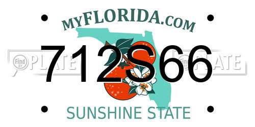 712S66 Florida License Plate