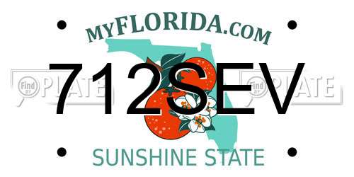 712SEV Florida License Plate