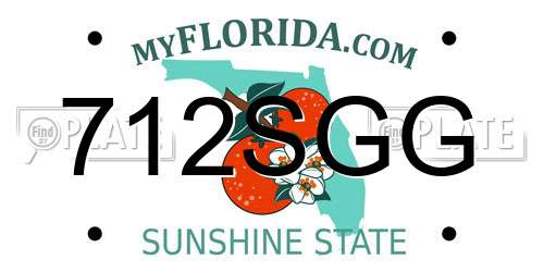 712SGG Florida License Plate
