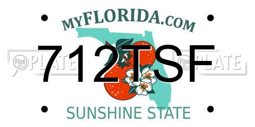 712TSF Florida License Plate