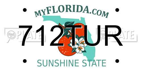 712TUR Florida License Plate