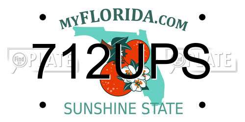 712UPS Florida License Plate